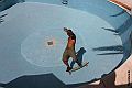 Mastino pool Skate